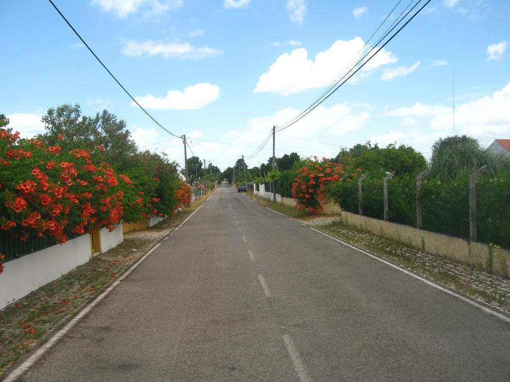 Casa Das Andorinhas Bed & Breakfast Palmela Exterior photo